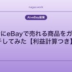 AIと一緒にeBayで売れる商品をガチリサーチしてみた【利益計算つき】